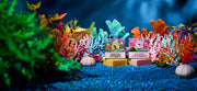 SpongeBob 4-Pack S0