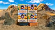 Dragon Ball Z 4-Pack A5