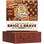 Bricc of the Brave H0