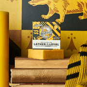 Harry Potter Collection Y8