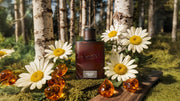 Midnight Birch Cologne X1