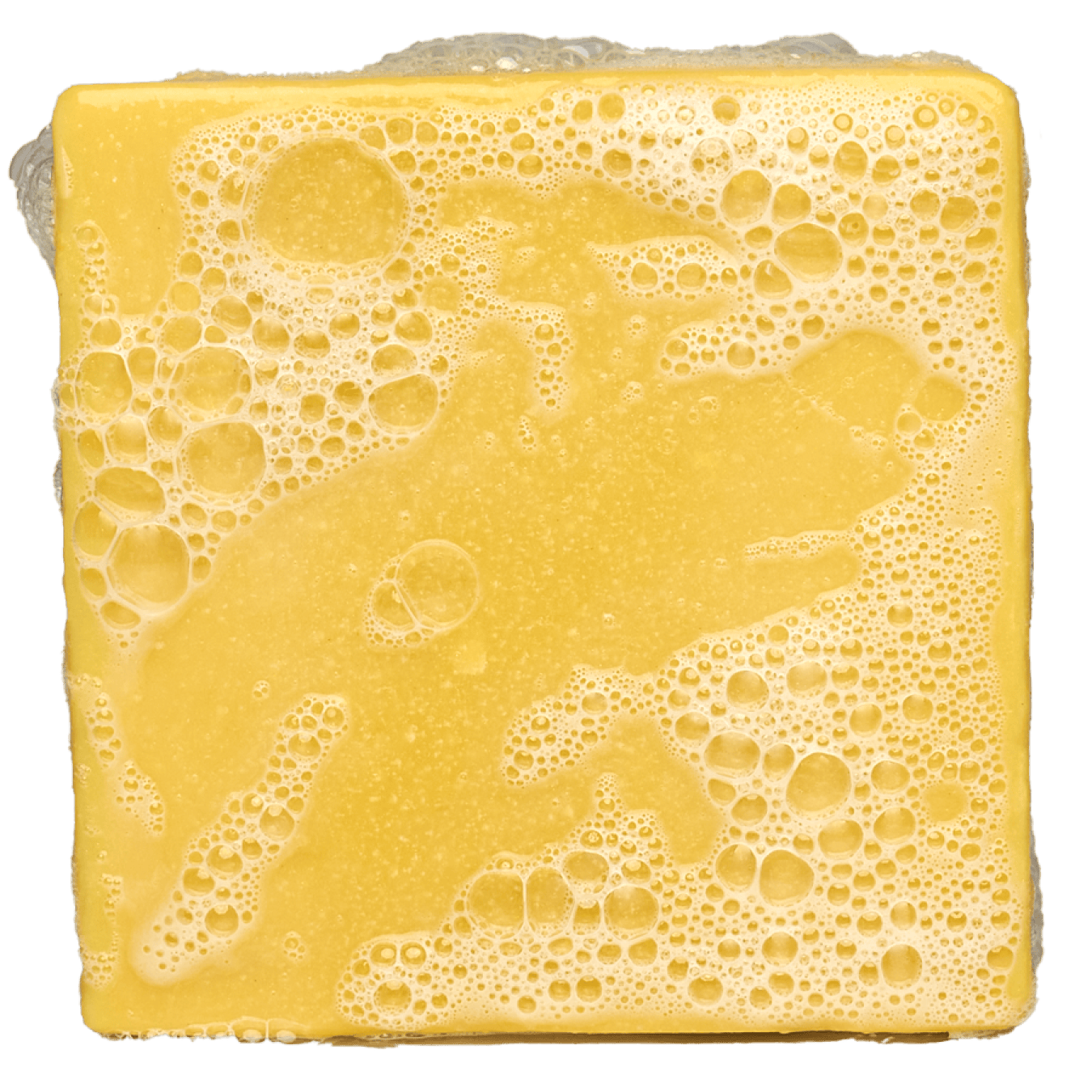 Nautical Nonsense E6