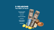 Lip Balm 4-Pack V6
