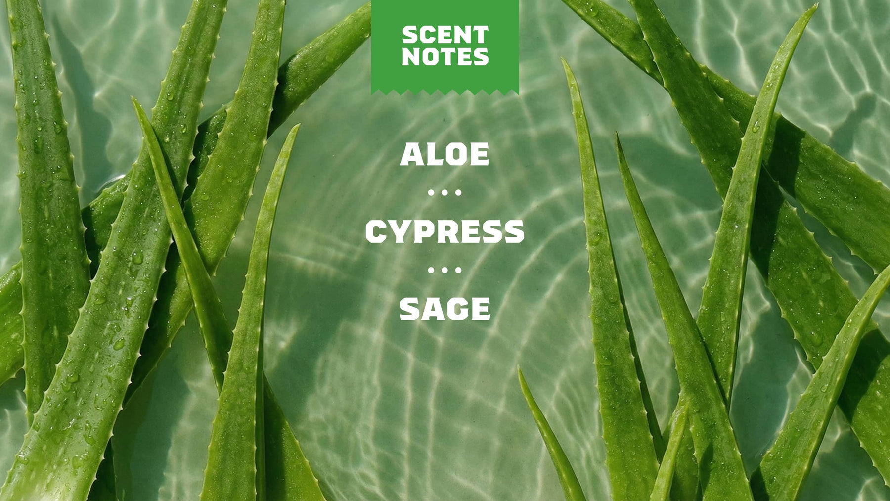 Cool Fresh Aloe Conditioner E9