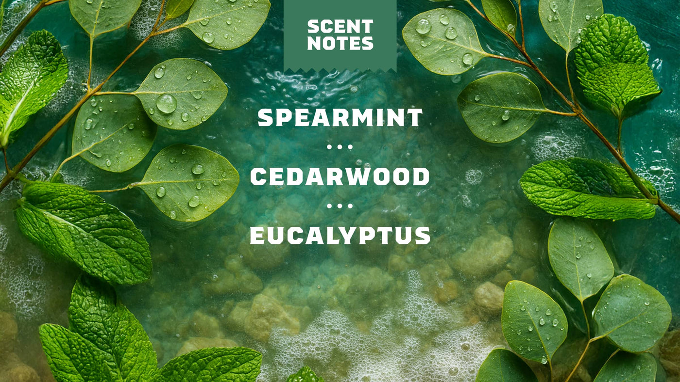 Rainforest Rapids Refreshing Face Wash T3
