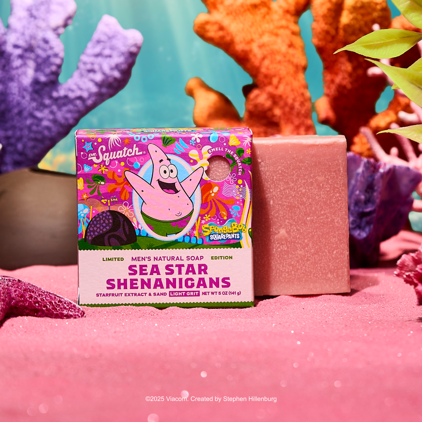 Sea Star Shenanigans C6
