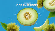 Coastal Mist Hand Soap U2