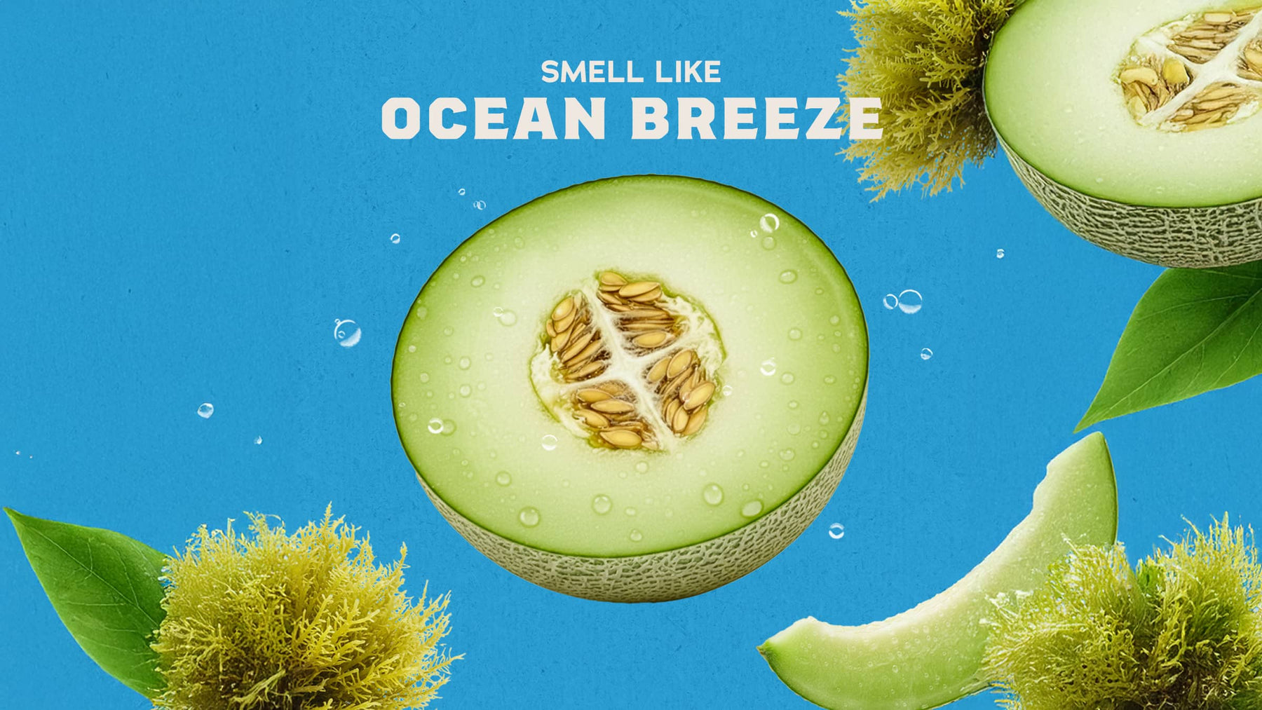 Coastal Mist Hand Soap U2