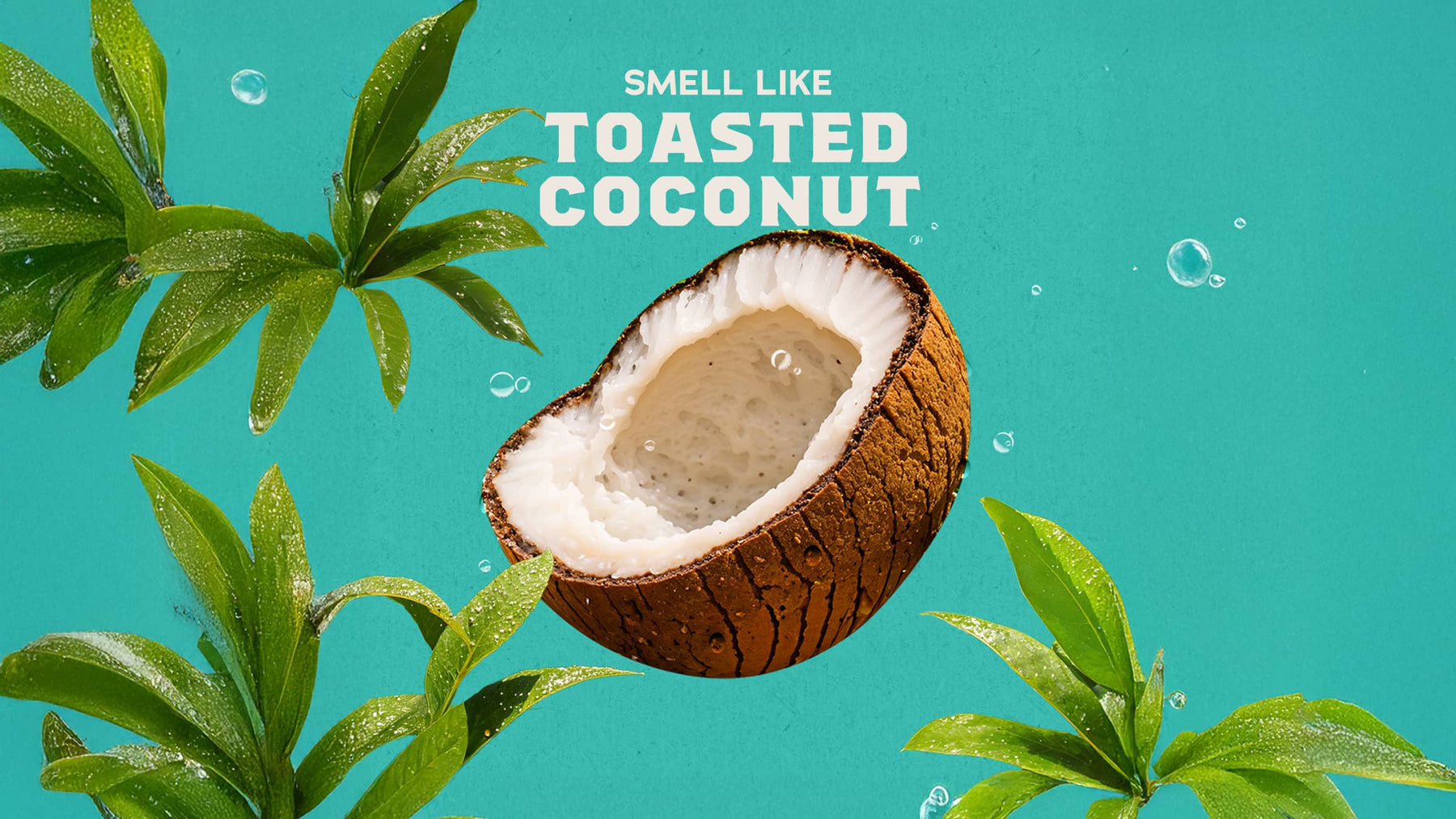 Coconut Castaway Hand Soap P2