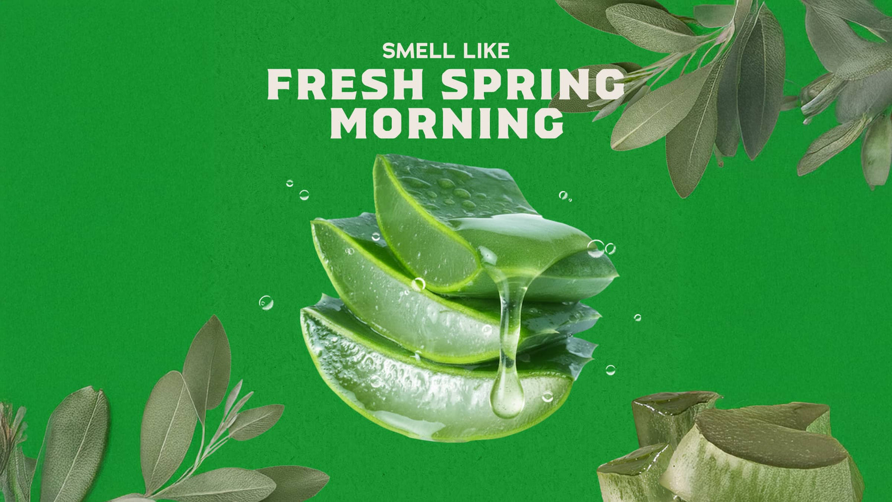 Cool Fresh Aloe Lotion X4