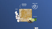 Golden Glory Hat-Trick Pack E1